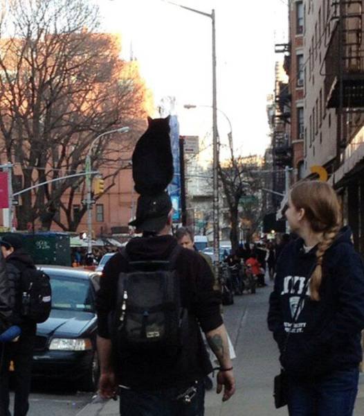 Bildschirmarbeiter - Picdump 23.09.2016 - NACHSCHLAG