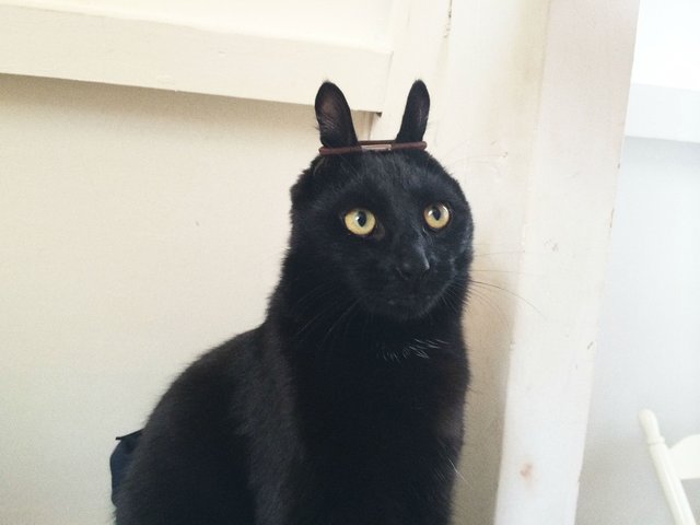 Bildschirmarbeiter - Picdump 23.09.2016 - NACHSCHLAG