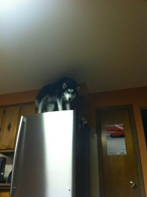 Bildschirmarbeiter - Picdump 23.09.2016