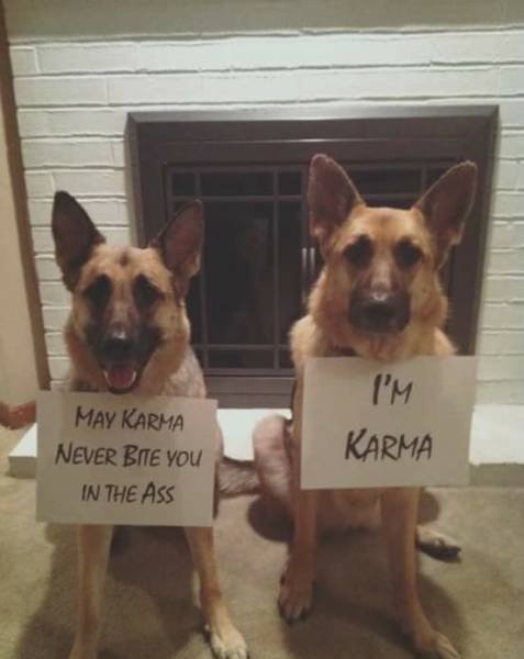 Bildschirmarbeiter - Picdump 23.09.2016