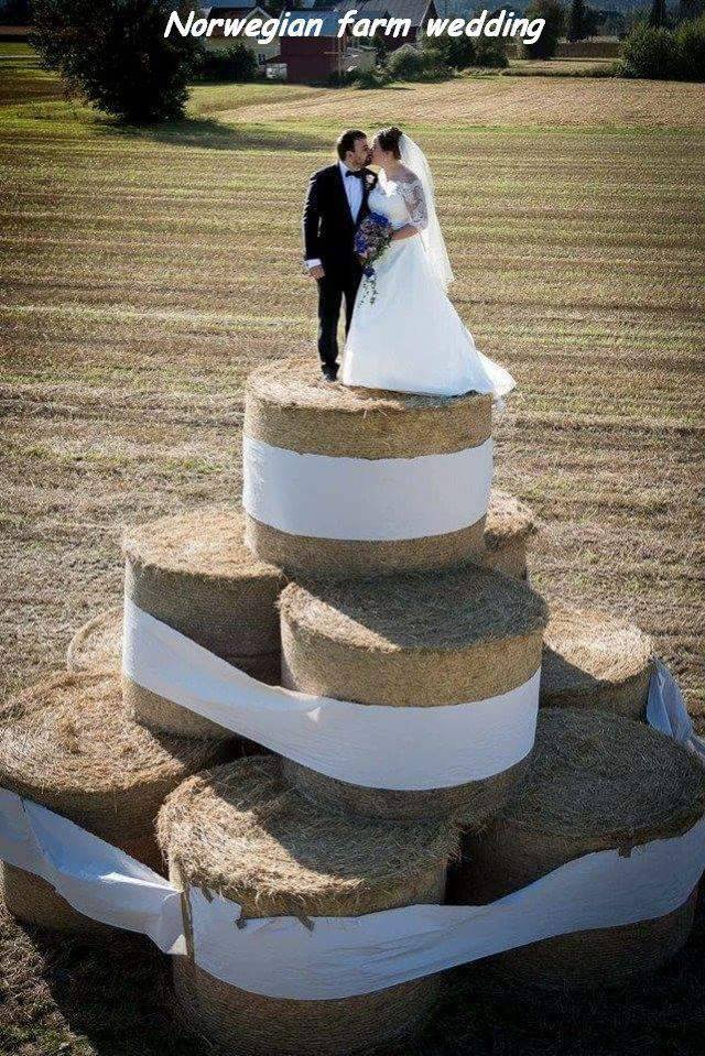 Bildschirmarbeiter - Picdump 23.09.2016