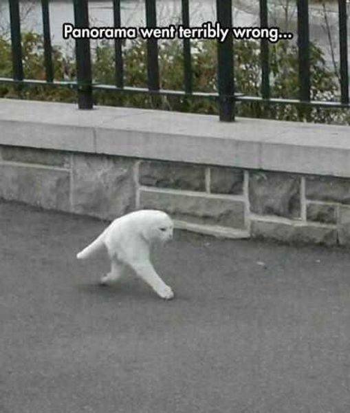 Bildschirmarbeiter - Picdump 23.09.2016