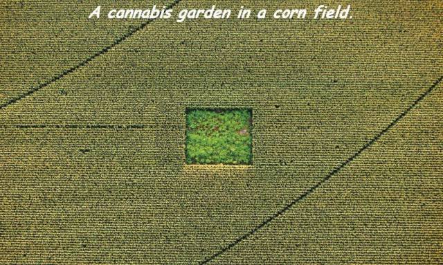 Bildschirmarbeiter - Picdump 23.09.2016