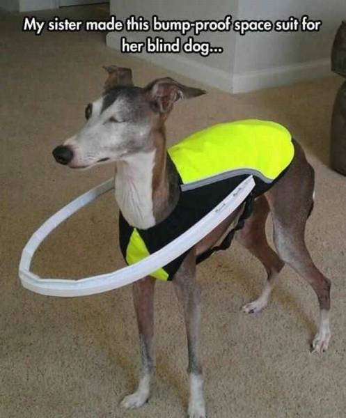 Bildschirmarbeiter - Picdump 23.09.2016