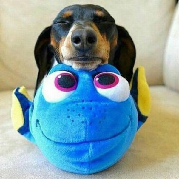 Bildschirmarbeiter - Picdump 23.09.2016