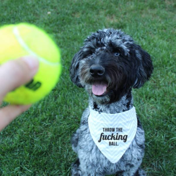 Bildschirmarbeiter - Picdump 23.09.2016