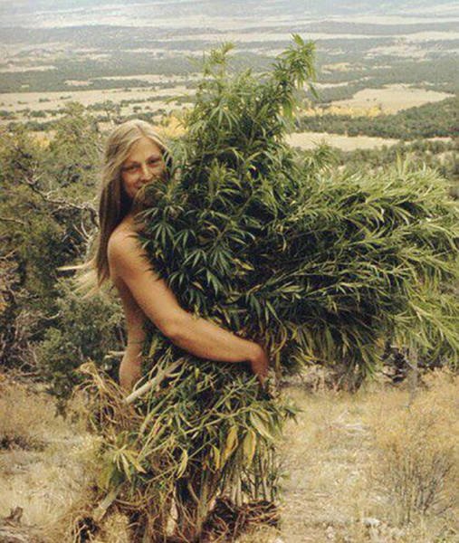 Bildschirmarbeiter - Picdump 23.09.2016