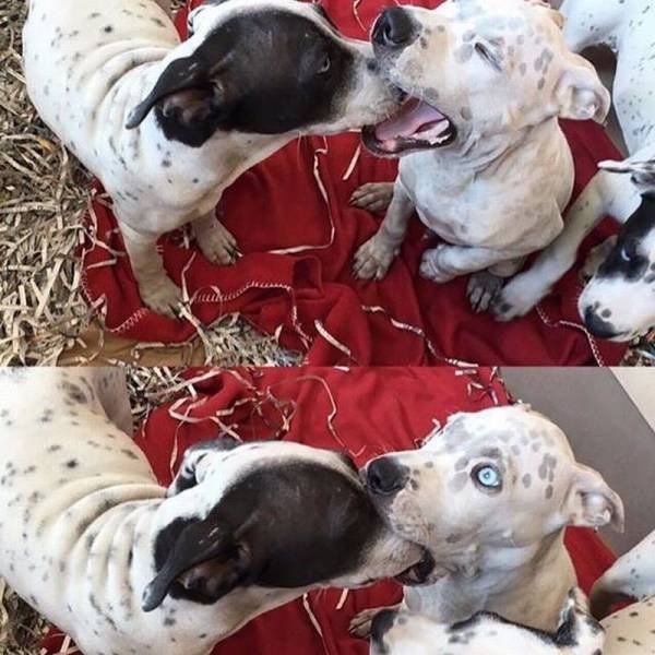 Bildschirmarbeiter - Picdump 30.09.2016 - NACHSCHLAG