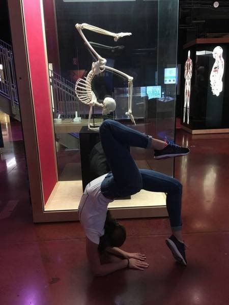 Bildschirmarbeiter - Picdump 30.09.2016 - NACHSCHLAG