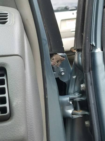 Bildschirmarbeiter - Picdump 30.09.2016 - NACHSCHLAG