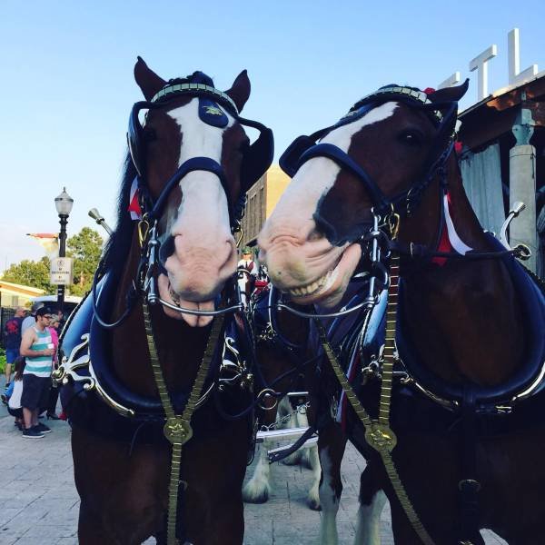 Bildschirmarbeiter - Picdump 30.09.2016 - NACHSCHLAG