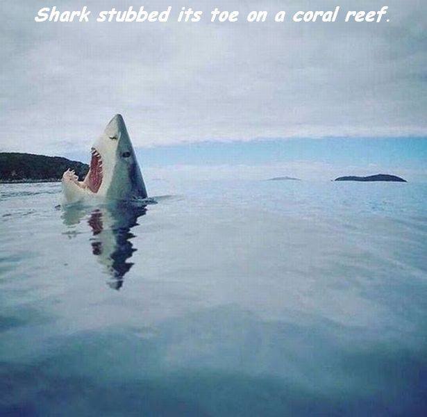 Bildschirmarbeiter - Picdump 30.09.2016 - NACHSCHLAG