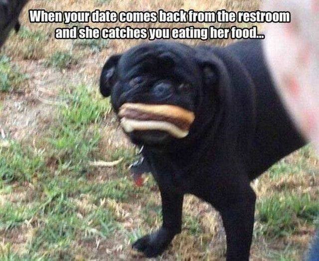 Bildschirmarbeiter - Picdump 30.09.2016 - NACHSCHLAG