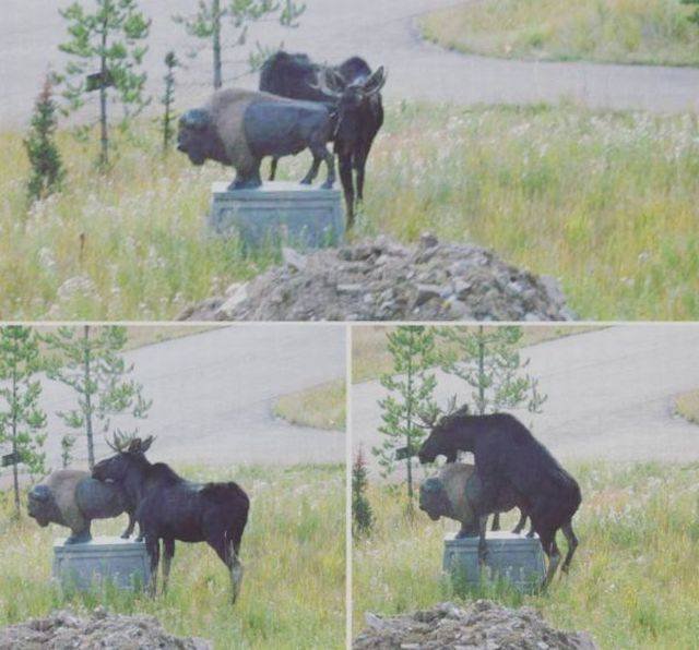 Bildschirmarbeiter - Picdump 30.09.2016 - NACHSCHLAG