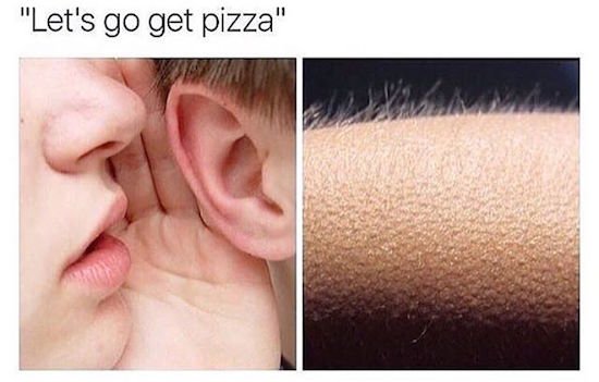 Bildschirmarbeiter - Picdump 30.09.2016 - NACHSCHLAG