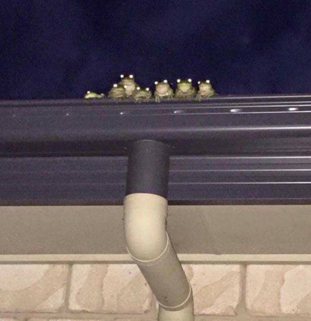 Bildschirmarbeiter - Picdump 30.09.2016