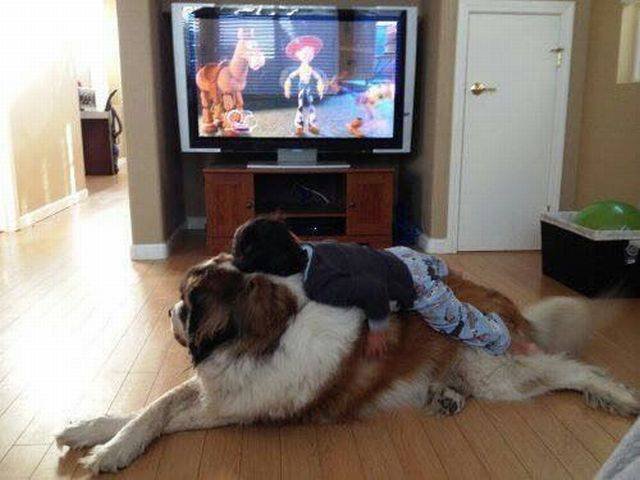 Bildschirmarbeiter - Picdump 30.09.2016