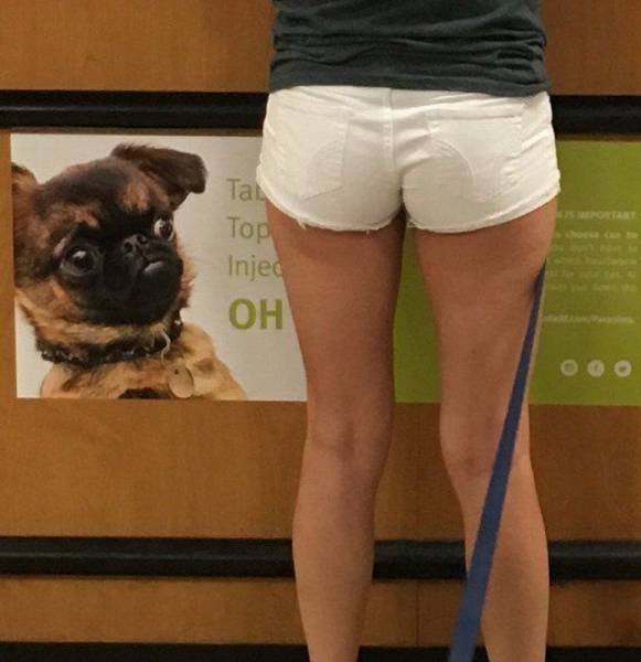 Bildschirmarbeiter - Picdump 30.09.2016