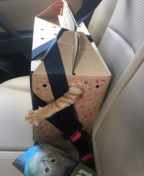 Bildschirmarbeiter - Picdump 30.09.2016