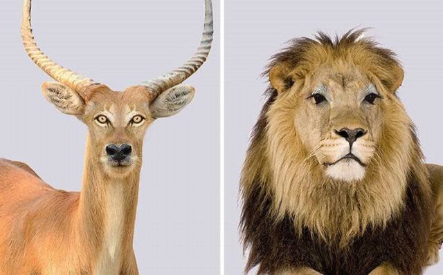 Bildschirmarbeiter - Picdump 30.09.2016