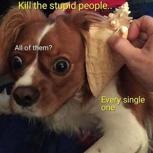 Bildschirmarbeiter - Picdump 30.09.2016