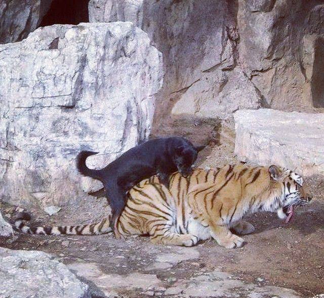 Bildschirmarbeiter - Picdump 30.09.2016