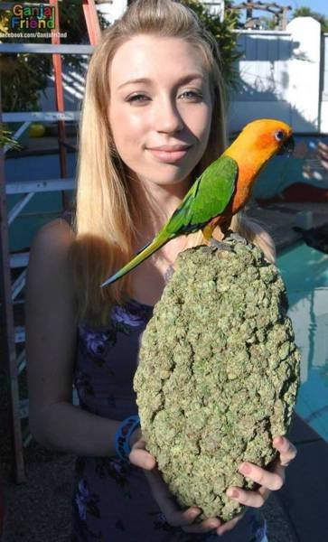 Bildschirmarbeiter - Picdump 30.09.2016