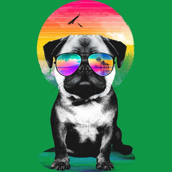 Bildschirmarbeiter - Picdump 30.09.2016