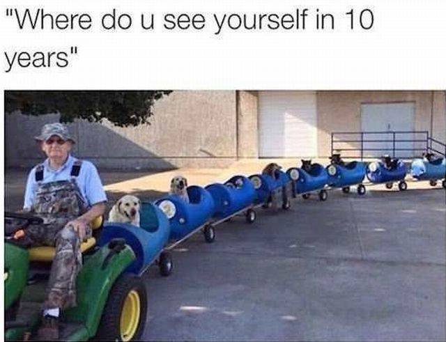 Bildschirmarbeiter - Picdump 07.10.2016