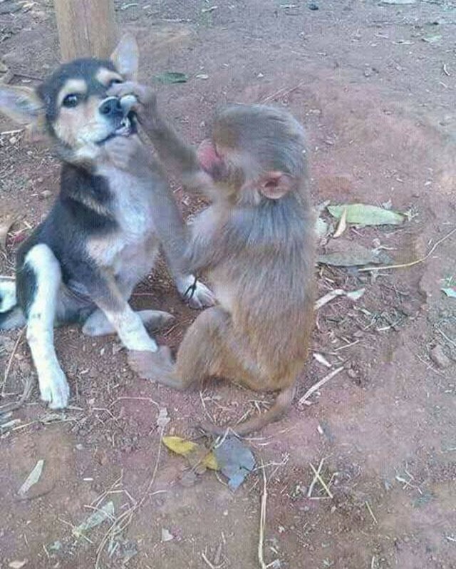 Bildschirmarbeiter - Picdump 07.10.2016