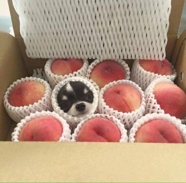 Bildschirmarbeiter - Picdump 07.10.2016