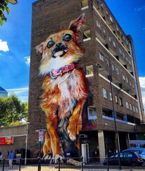 Bildschirmarbeiter - Picdump 07.10.2016