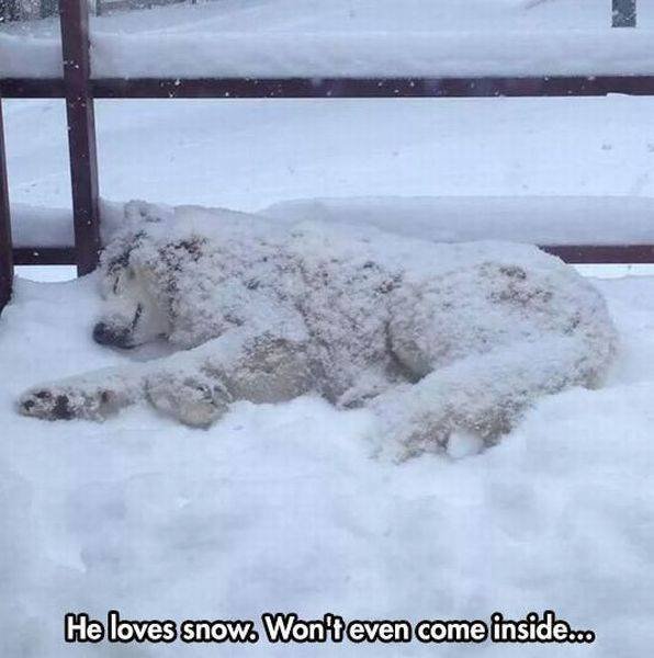 Bildschirmarbeiter - Picdump 07.10.2016