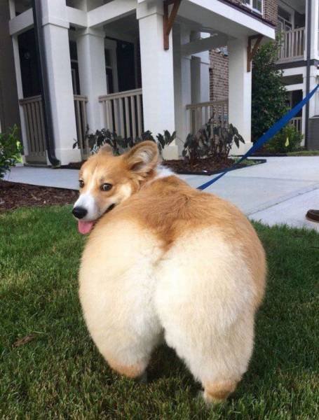 Bildschirmarbeiter - Picdump 07.10.2016