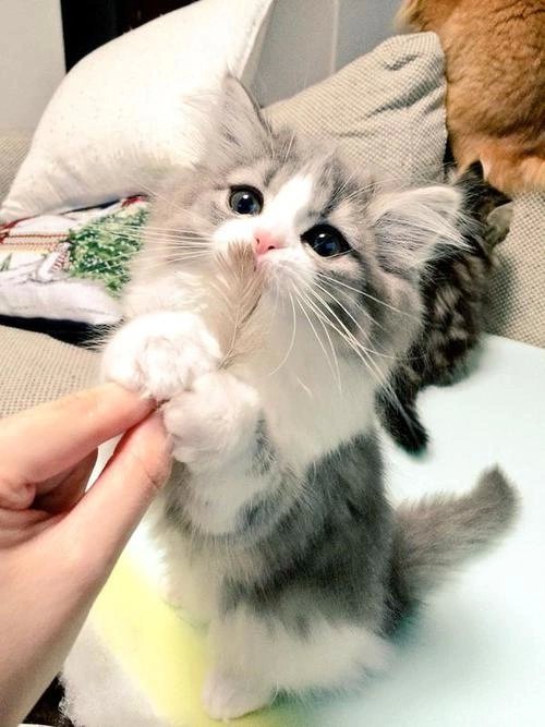 Bildschirmarbeiter - Picdump 07.10.2016