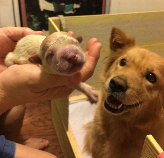 Bildschirmarbeiter - Picdump 07.10.2016