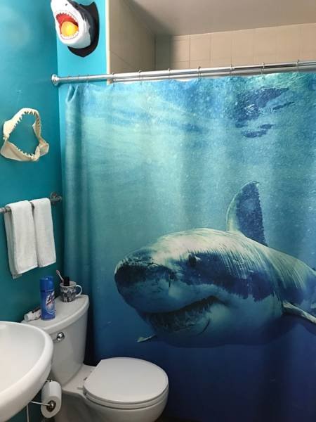 Bildschirmarbeiter - Picdump 07.10.2016