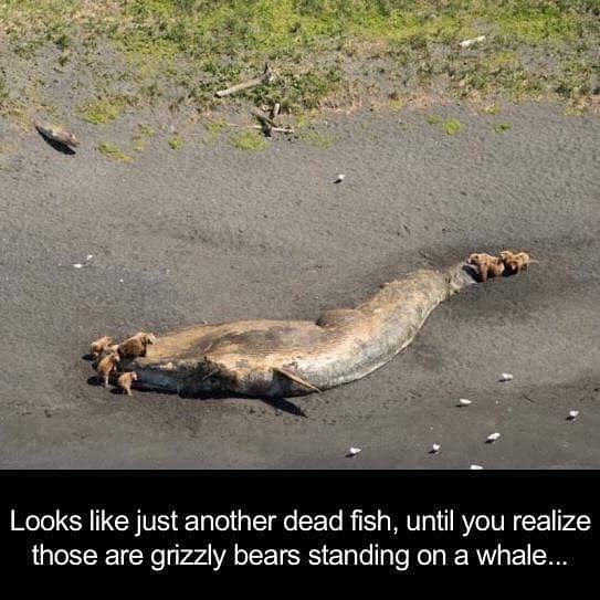 Bildschirmarbeiter - Picdump 07.10.2016