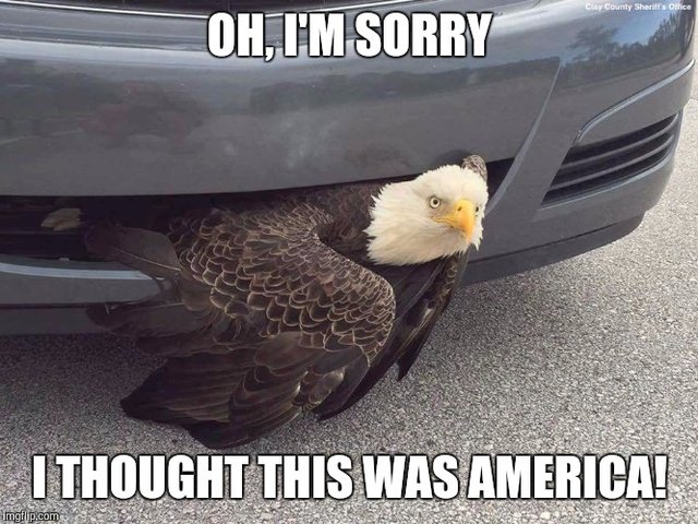 Bildschirmarbeiter - Picdump 14.10.2016 - NACHSCHLAG