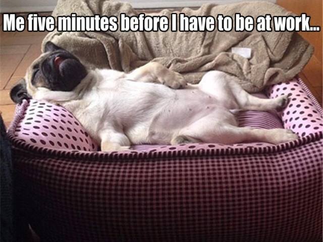 Bildschirmarbeiter - Picdump 14.10.2016 - NACHSCHLAG