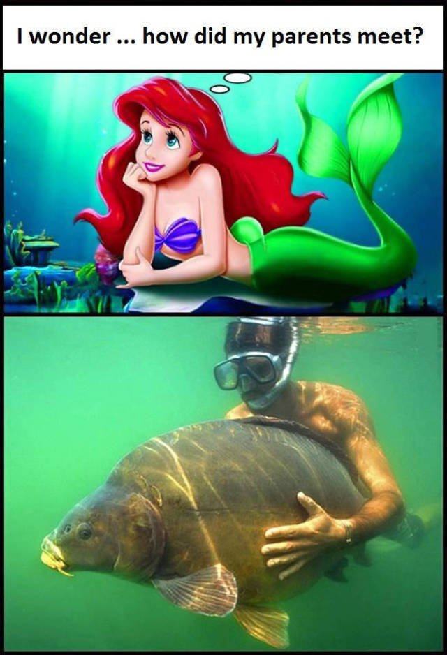 Bildschirmarbeiter - Picdump 14.10.2016 - NACHSCHLAG