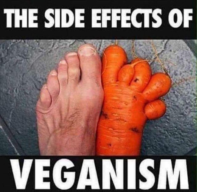 Bildschirmarbeiter - Picdump 14.10.2016 - NACHSCHLAG