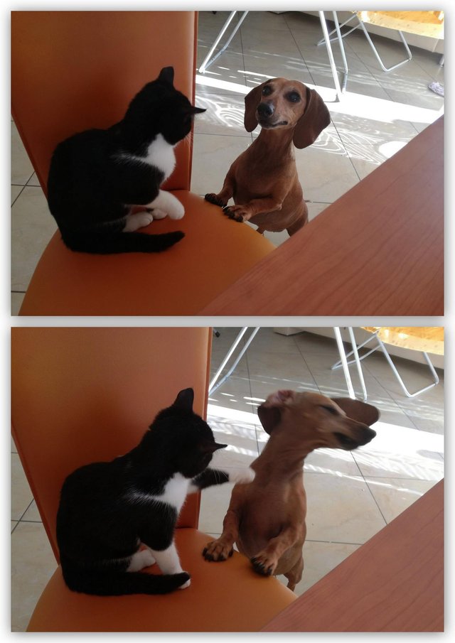 Bildschirmarbeiter - Picdump 14.10.2016 - NACHSCHLAG