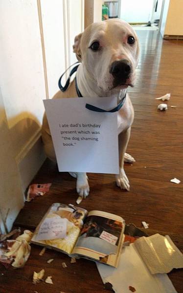 Bildschirmarbeiter - Picdump 14.10.2016 - NACHSCHLAG