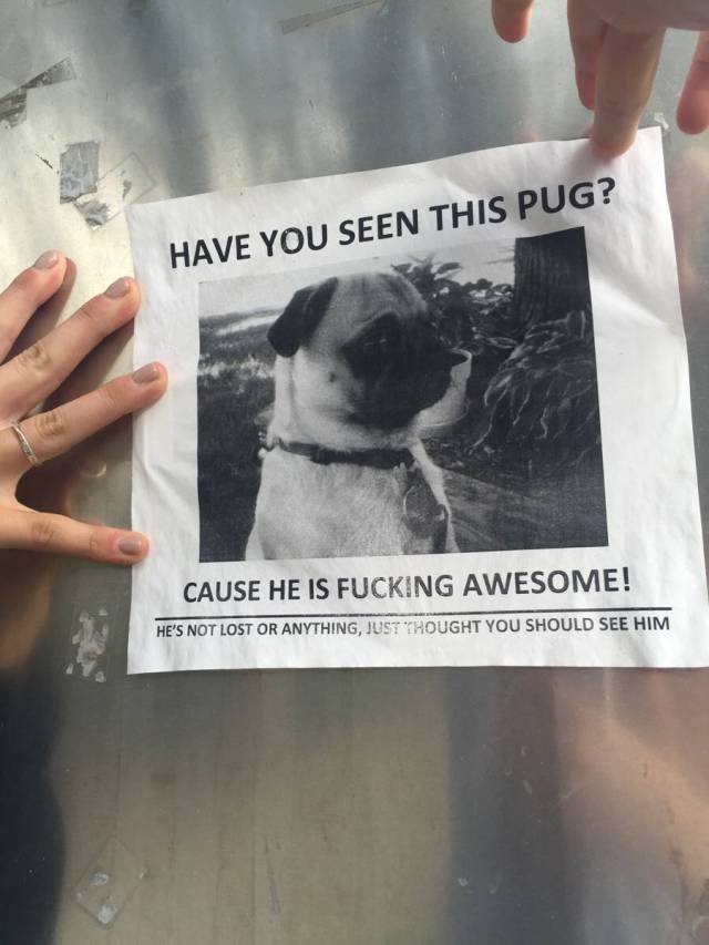 Bildschirmarbeiter - Picdump 14.10.2016 - NACHSCHLAG