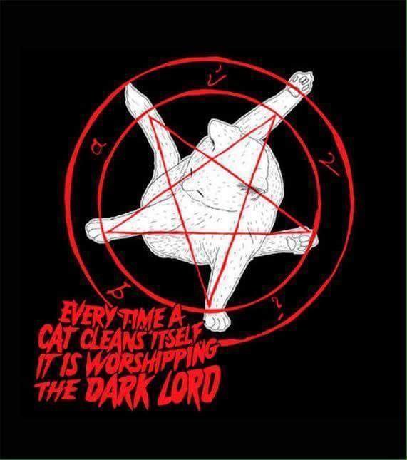 Bildschirmarbeiter - Picdump 14.10.2016 - NACHSCHLAG