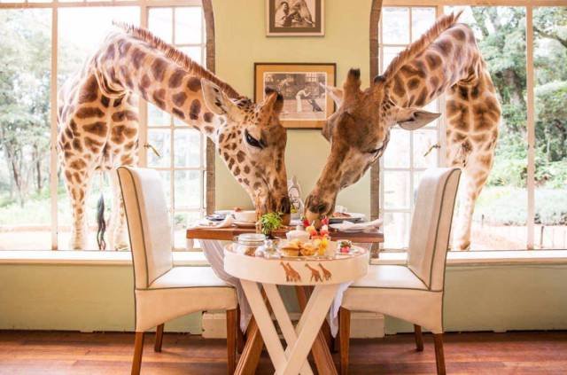 Bildschirmarbeiter - Picdump 14.10.2016