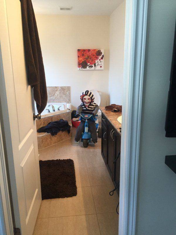 Bildschirmarbeiter - Picdump 14.10.2016