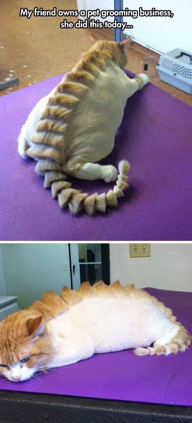 Bildschirmarbeiter - Picdump 14.10.2016