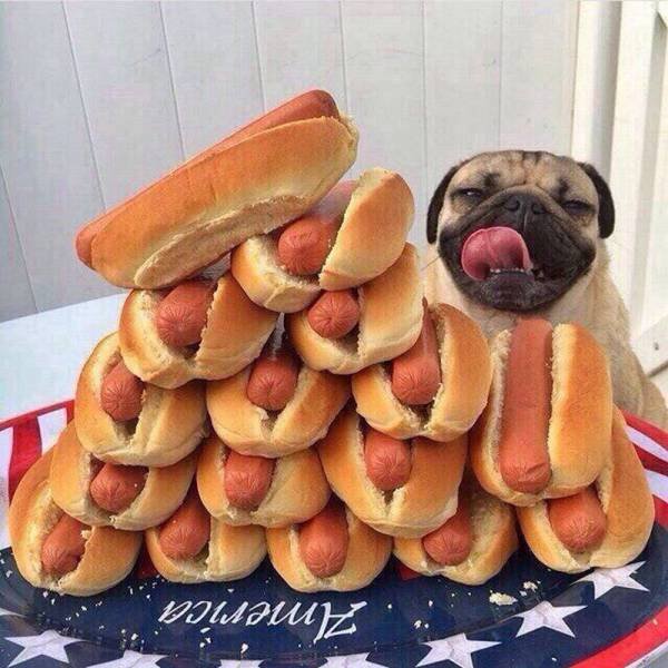 Bildschirmarbeiter - Picdump 14.10.2016